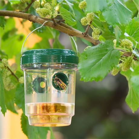 Garden of Eden SZOLÁR ROVARCSAPDA FELAKASZTHATÓ 11383