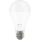 Retlux LED IZZÓ A67 E27 20W CW RLL 463