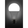Retlux LED IZZÓ A67 E27 20W CW RLL 463