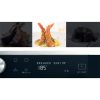 Whirlpool MIKROHULLÁMÚ SÜTŐ MWSC 9133 SX